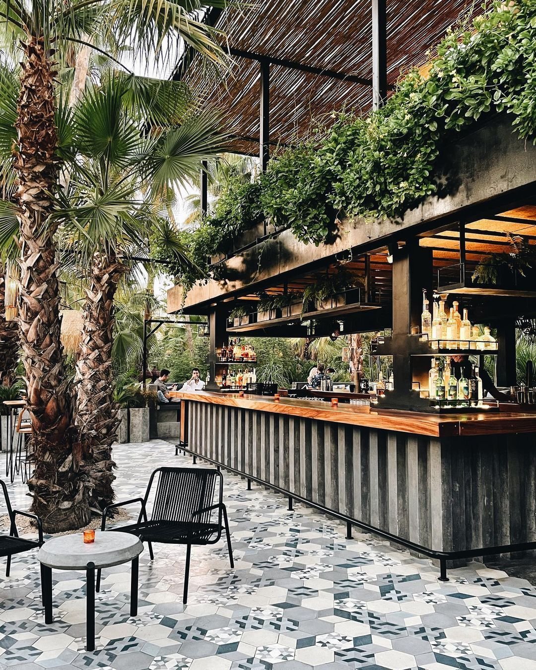 The Best Restaurants in Cabo Offer Upscale Cuisine and Casual Favorites