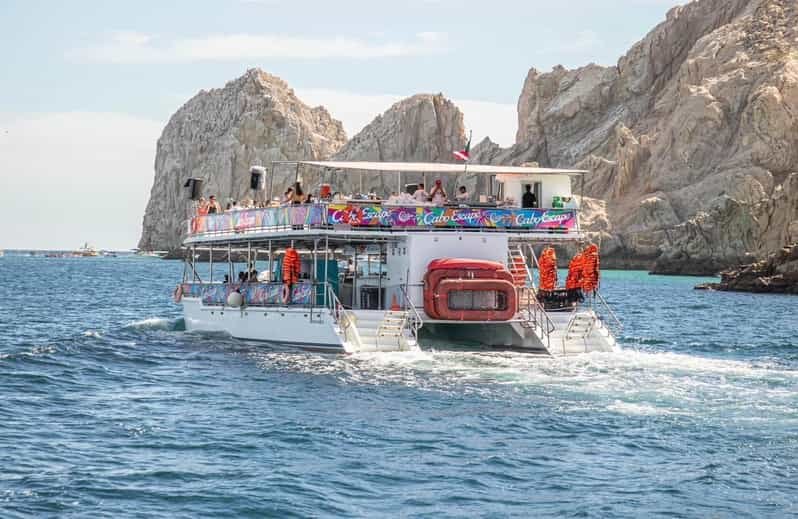 Most Unique Dining Experiences Cabo San Lucas Combine Thrills and Feasts